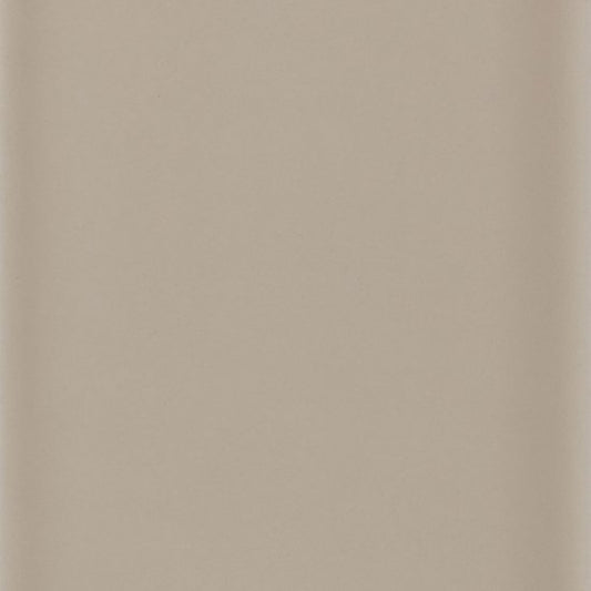 H & R Johnson Savoy Grain 10x20cm